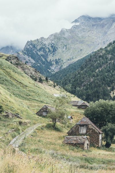 Lorem Ipsum